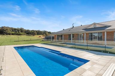 Lifestyle Auction - NSW - Goulburn - 2580 - Entertainment Plus!  (Image 2)