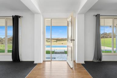Lifestyle Auction - NSW - Goulburn - 2580 - Entertainment Plus!  (Image 2)