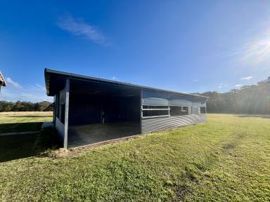 House For Lease - NSW - Kungala - 2460 - HOME & HORSE PADDOCKS  (Image 2)