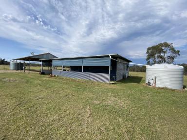 House For Lease - NSW - Kungala - 2460 - HOME & HORSE PADDOCKS  (Image 2)