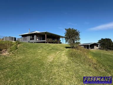 Acreage/Semi-rural For Sale - QLD - East Nanango - 4615 - Self-Sufficient Country Living - Immaculate 5-Acre Off-Grid Lifestyle Property with Sheds, Water Security & Sweeping Views  (Image 2)