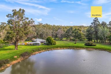 House For Sale - WA - North Greenbushes - 6254 - Rural Retreat on 5 Acres  (Image 2)