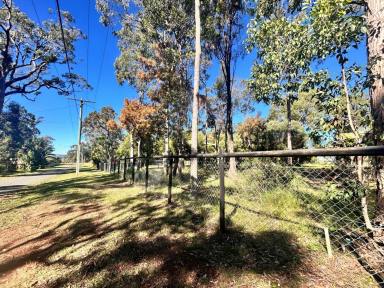 Residential Block For Sale - QLD - Macleay Island - 4184 - 809m² Flat Block – Mostly Fenced & Well Positioned!  (Image 2)