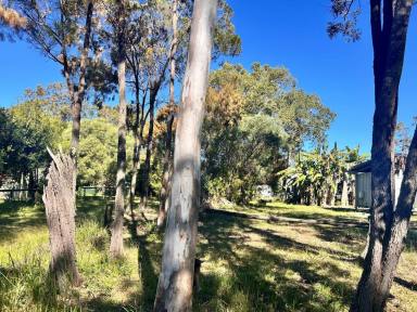 Residential Block For Sale - QLD - Macleay Island - 4184 - 809m² Flat Block – Mostly Fenced & Well Positioned!  (Image 2)