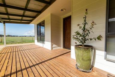 Lifestyle For Sale - SA - Naracoorte - 5271 - Excellent Location, Rural Views and Room to move!!  (Image 2)