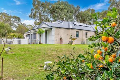 House For Sale - WA - Karnup - 6176 - Modern Family Homestead with Self-Contained Granny Flat and Expansive Rural Living  (Image 2)