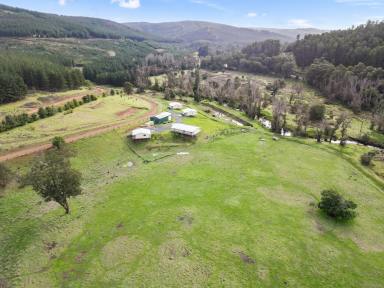 Cropping For Sale - WA - Southampton - 6253 - ENDLESS POSSIBILITIES!!  (Image 2)