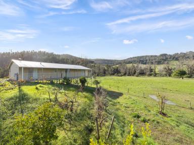 Lifestyle For Sale - WA - Southampton - 6253 - A Versatile Rural Retreat  (Image 2)