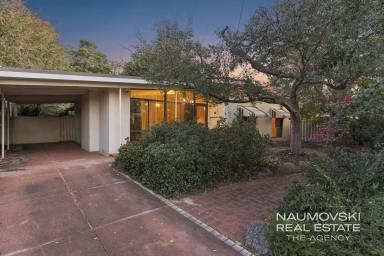 House For Sale - WA - Balcatta - 6021 - CHARMING HOME. HUGE POTENTIAL!  (Image 2)
