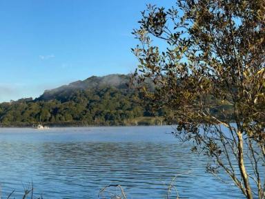 Acreage/Semi-rural For Sale - NSW - Chinderah - 2487 - Rare Private Island Opportunity Build Your Dream Estate or Commercial Opportunity  (Image 2)