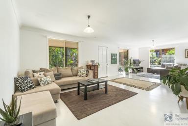 House For Sale - NSW - Goonellabah - 2480 - PRIVATE LIVING, KOALA LOVERS WANTED  (Image 2)