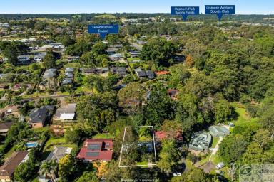House For Sale - NSW - Goonellabah - 2480 - PRIVATE LIVING, KOALA CORRIDOR TRANQUILITY  (Image 2)