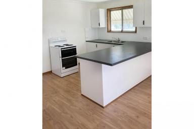 House Leased - NSW - Peak Hill - 2869 - Refreshed and ready to go  (Image 2)