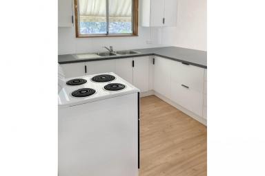 House Leased - NSW - Peak Hill - 2869 - Refreshed and ready to go  (Image 2)