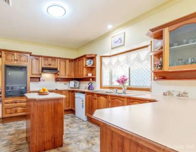 House Leased - NSW - Narromine - 2821 - Room for all the family  (Image 2)