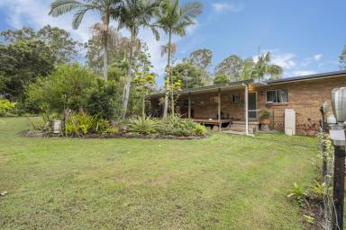 Other (Rural) For Sale - NSW - Eatonsville - 2460 - Owner committed to sell - wants offers ASAP!  (Image 2)