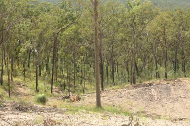 Lifestyle For Sale - NSW - Drake - 2469 - 10 ACRES, STUNNING VIEWS, HOUSE AND SHED PAD  (Image 2)