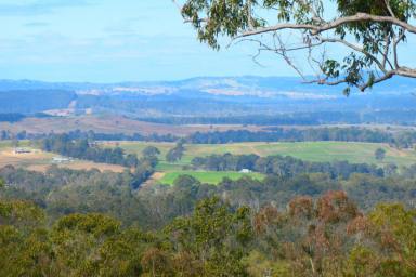 Lifestyle For Sale - NSW - Drake - 2469 - TOP OF THE WORLD  (Image 2)
