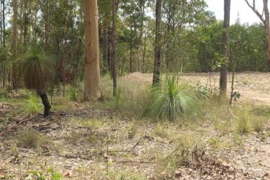 Lifestyle For Sale - NSW - Drake - 2469 - THE VIEWS  (Image 2)