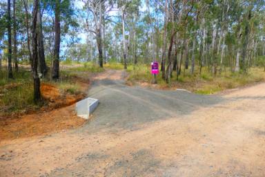 Lifestyle For Sale - NSW - Drake - 2469 - 10 ACRES, STUNNING VIEWS, HOUSE AND SHED PAD  (Image 2)
