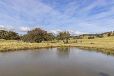 Residential Block Auction - NSW - Bowning - 2582 - Affordable Views & Production in Yass Valley  (Image 2)