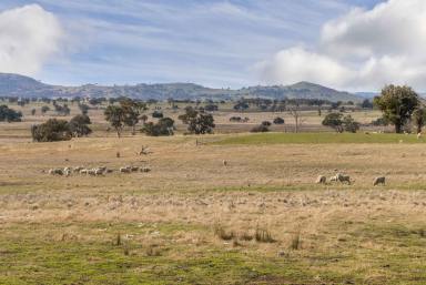 Residential Block Auction - NSW - Bowning - 2582 - Affordable Views & Production in Yass Valley  (Image 2)