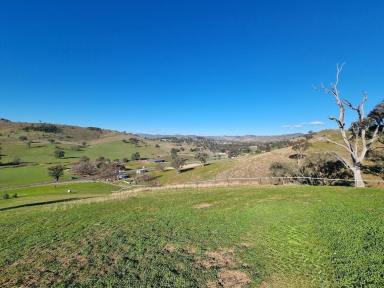Residential Block For Sale - NSW - Gundagai - 2722 - Rural block, just minutes from town  (Image 2)