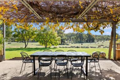 Acreage/Semi-rural For Sale - WA - Gingin - 6503 - Space, Sunlight, Style & Seclusion  (Image 2)