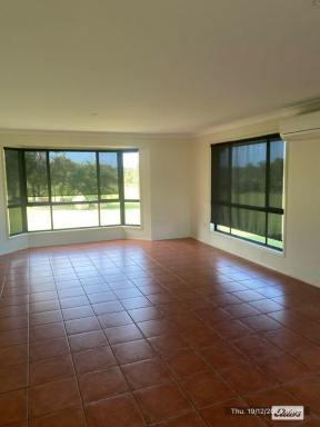 House For Lease - QLD - Adare - 4343 - MODERN 4 BEDROOM BRICK HOME IN ADARE  (Image 2)