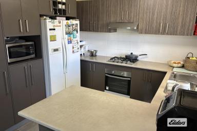 House For Sale - QLD - Laidley - 4341 - Modern Family Living on a Spacious 990sqm Block  (Image 2)