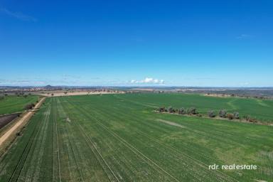 Mixed Farming For Sale - NSW - Warialda - 2402 - KYWARRA  (Image 2)