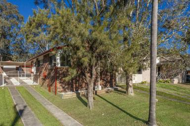 House For Sale - NSW - Raymond Terrace - 2324 - SPACIOUS FAMILY HOME WITH QUALITY TENANTS IN PLACE  (Image 2)