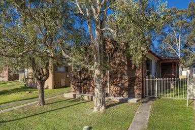 House For Sale - NSW - Raymond Terrace - 2324 - SPACIOUS FAMILY HOME WITH QUALITY TENANTS IN PLACE  (Image 2)