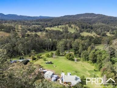 House For Sale - NSW - Kyogle - 2474 - Lifestyle Property with Stunning Country Views  (Image 2)