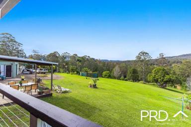 House For Sale - NSW - Kyogle - 2474 - Lifestyle Property with Stunning Country Views  (Image 2)