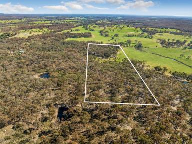 Residential Block For Sale - VIC - Axe Creek - 3551 - A Rare Slice of Tranquillity on 20 Acres of Native Bushland  (Image 2)