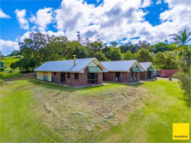 Other (Residential) For Sale - QLD - Atherton - 4883 - Solid Brick Home with Endless Potential on Lifestyle Acreage  (Image 2)