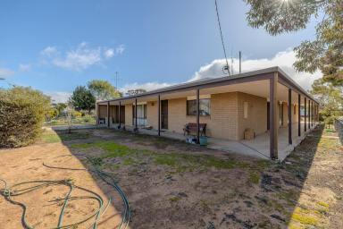 House For Sale - VIC - Manangatang - 3546 - Solid 5 bedroom brick home!  (Image 2)