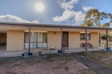 House For Sale - VIC - Manangatang - 3546 - Solid 5 bedroom brick home!  (Image 2)