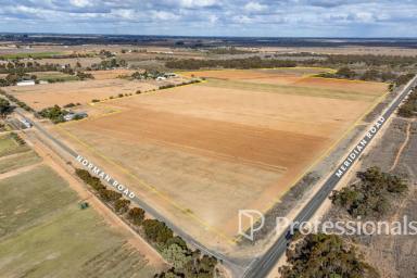 Horticulture For Sale - VIC - Merbein West - 3505 - Prime Irrigated Horticultural Land – 19.07ha (47 Acres)  (Image 2)