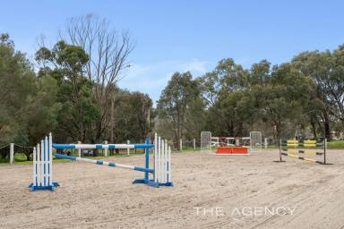 House For Sale - WA - Bullsbrook - 6084 - Horse Heaven in Bullsbrook  (Image 2)