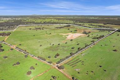 Mixed Farming For Sale - VIC - Bagshot North - 3551 - Size, Seclusion and Opportunity in Bagshot North  (Image 2)