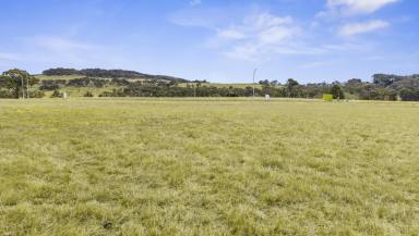 Residential Block For Sale - NSW - Lidsdale - 2790 - Your Lifestyle Awaits – 2,000sqm Block in Lidsdale  (Image 2)