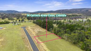 Residential Block For Sale - NSW - Lidsdale - 2790 - Your Lifestyle Awaits – 2,000sqm Block in Lidsdale  (Image 2)