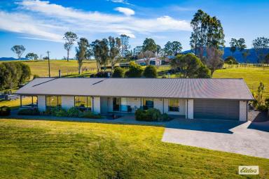 Acreage/Semi-rural For Sale - NSW - Bega - 2550 - Executive Living on 5 Pristine Acres - Just 10 Minutes from Town  (Image 2)