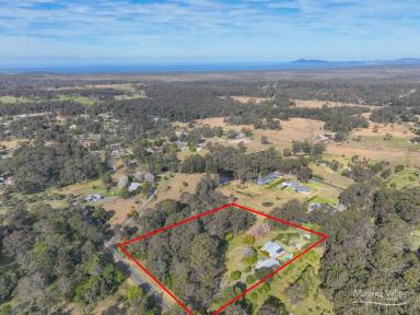 Acreage/Semi-rural For Sale - NSW - Rainbow Flat - 2430 - A Dream Home in a Serene Setting – Perfect for Family Living  (Image 2)
