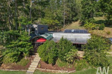 Acreage/Semi-rural For Sale - QLD - Brooloo - 4570 - RUSTIC CHARM ON 6.5 ACRES IN THE HEART OF THE MARY VALLEY  (Image 2)