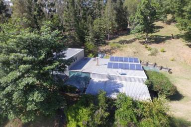 Acreage/Semi-rural For Sale - QLD - Brooloo - 4570 - HINTERLAND ACREAGE BORDERING STATE FOREST  (Image 2)