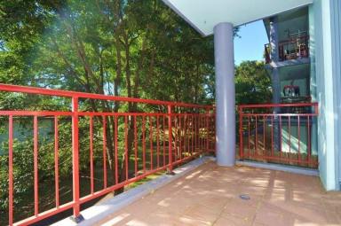 Apartment For Lease - NSW - Marsfield - 2122 - Spacious 2-bed apartment in security block with 2-garages  (Image 2)