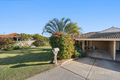 Duplex/Semi-detached For Sale - WA - Kardinya - 6163 - Sitting Pretty!  (Image 2)